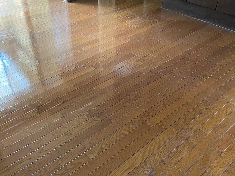 画像256